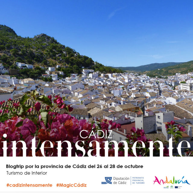 Cádiz intensamente