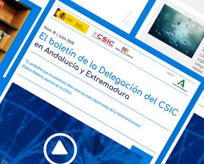 Newsletter CSIC