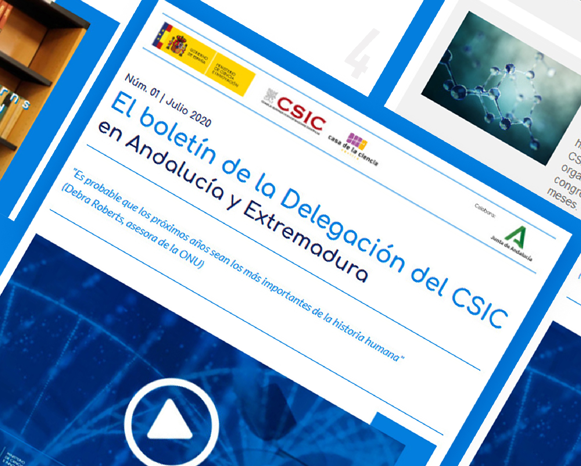 Newsletter CSIC