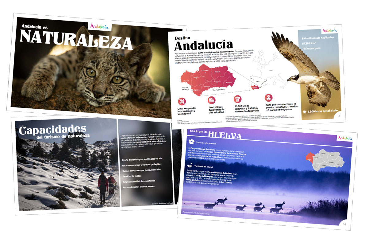 Generación de contenidos de segmentos de Turismo de Naturaleza y Turismo Cultural